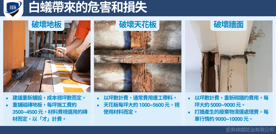 白蟻危害及放置不理的修繕成本
