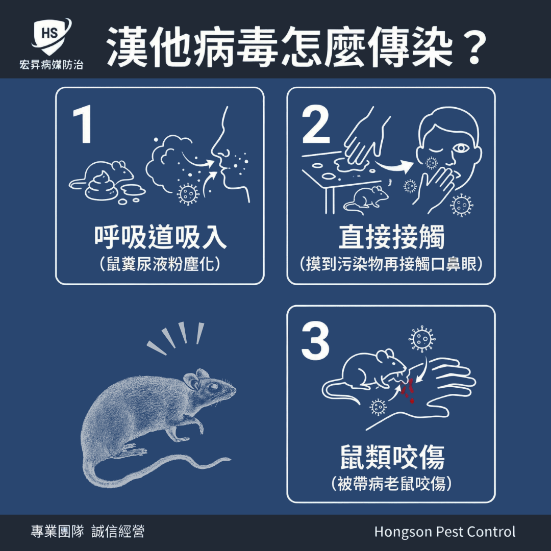 漢他病毒怎麼傳染